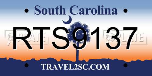 RTS9137 South Carolina License Plate