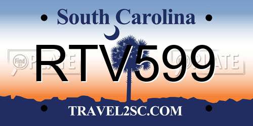 RTV599 South Carolina License Plate