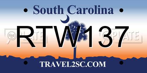 RTW137 South Carolina License Plate