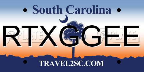 RTXGGEE South Carolina License Plate