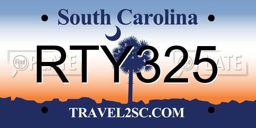 RTY325 South Carolina License Plate