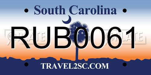 RUB0061 South Carolina License Plate