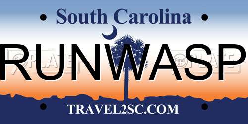 RUNWASP South Carolina License Plate