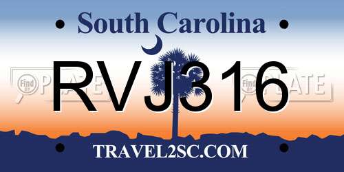 RVJ316 South Carolina License Plate