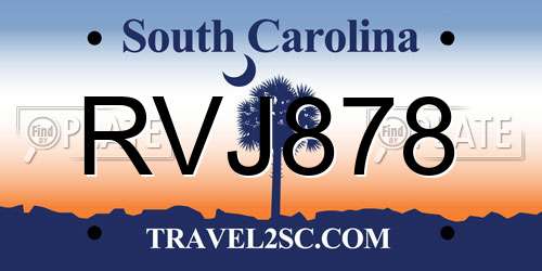 RVJ878 South Carolina License Plate