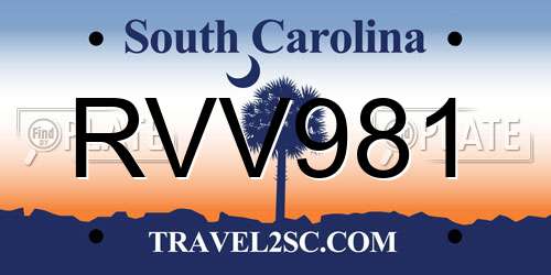 RVV981 South Carolina License Plate