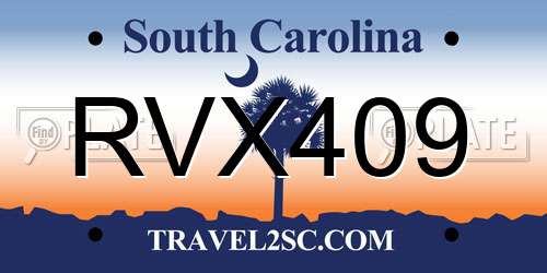 RVX409 South Carolina License Plate