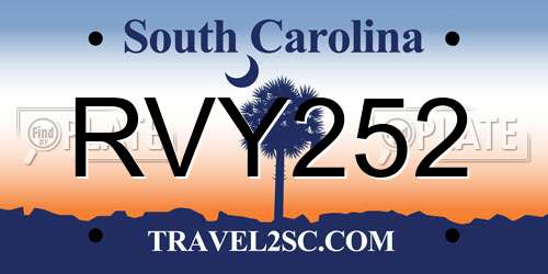 RVY252 South Carolina License Plate