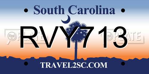 RVY713 South Carolina License Plate