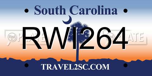 RWI264 South Carolina License Plate