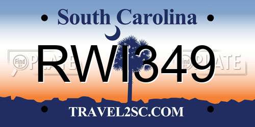 RWI349 South Carolina License Plate