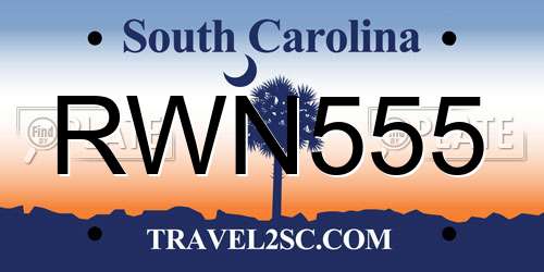 RWN555 South Carolina License Plate