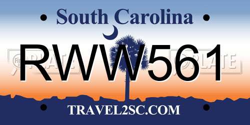 RWW561 South Carolina License Plate