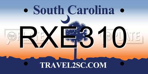 RXE310 South Carolina License Plate