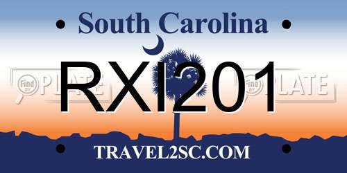 RXI201 South Carolina License Plate