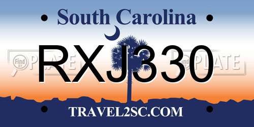 RXJ330 South Carolina License Plate