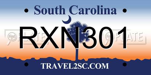 RXN301 South Carolina License Plate
