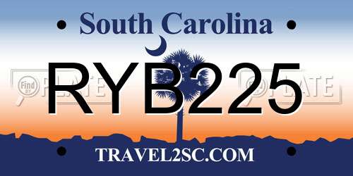 RYB225 South Carolina License Plate
