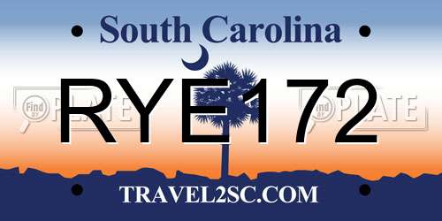 RYE172 South Carolina License Plate