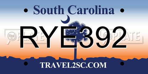 RYE392 South Carolina License Plate