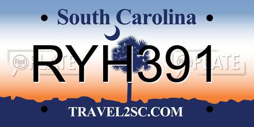 RYH391 South Carolina License Plate