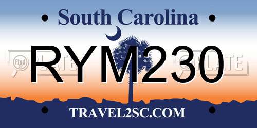 RYM230 South Carolina License Plate