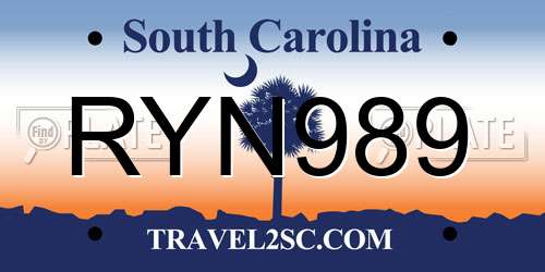 RYN989 South Carolina License Plate