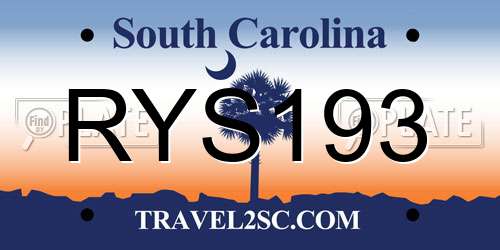 RYS193 South Carolina License Plate
