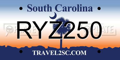 RYZ250 South Carolina License Plate