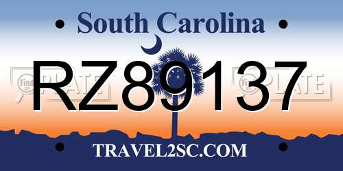 RZ89137 South Carolina License Plate