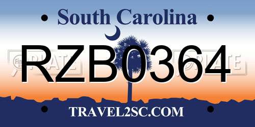 RZB0364 South Carolina License Plate