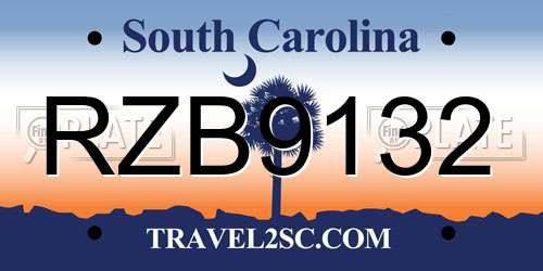 RZB9132 South Carolina License Plate