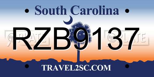 RZB9137 South Carolina License Plate