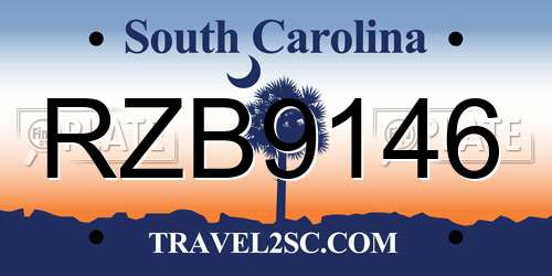 RZB9146 South Carolina License Plate