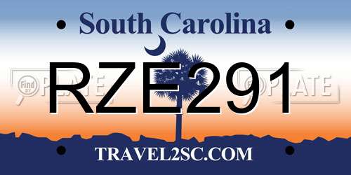 RZE291 South Carolina License Plate