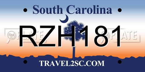 RZH181 South Carolina License Plate