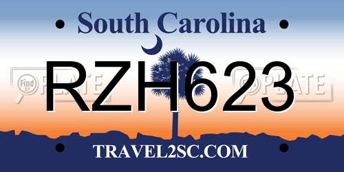 RZH623 South Carolina License Plate