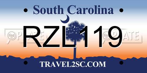 RZL119 South Carolina License Plate