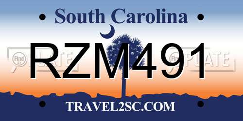 RZM491 South Carolina License Plate