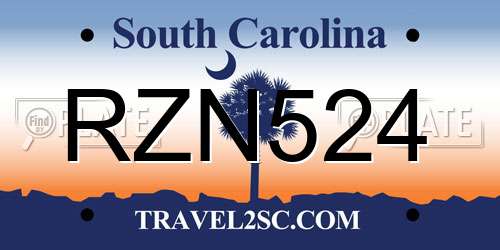 RZN524 South Carolina License Plate