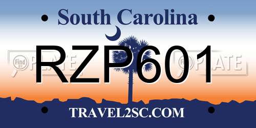 RZP601 South Carolina License Plate