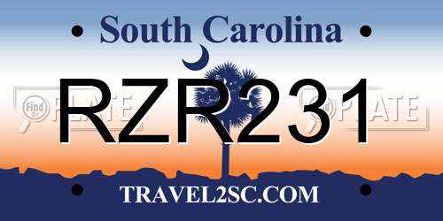RZR231 South Carolina License Plate