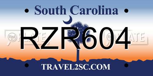 RZR604 South Carolina License Plate