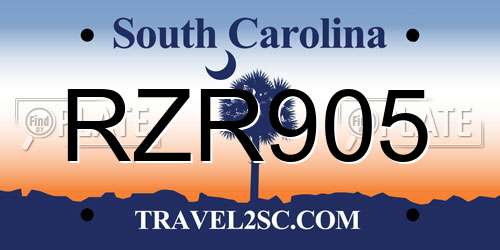 RZR905 South Carolina License Plate