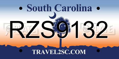 RZS9132 South Carolina License Plate