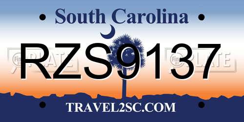 RZS9137 South Carolina License Plate