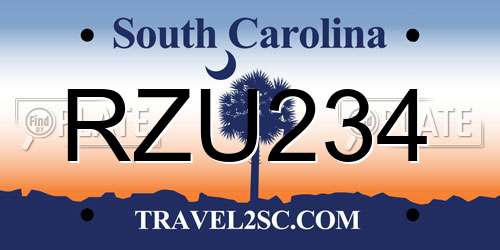 RZU234 South Carolina License Plate