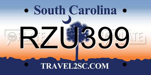 RZU399 South Carolina License Plate