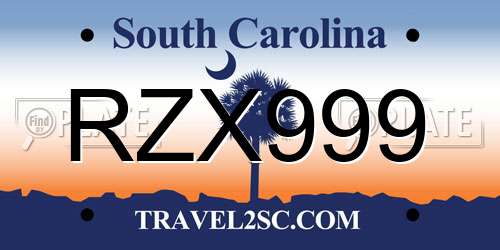 RZX999 South Carolina License Plate