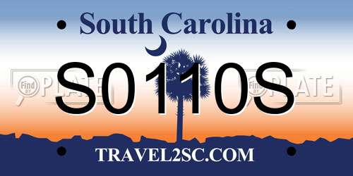 S0110S South Carolina License Plate